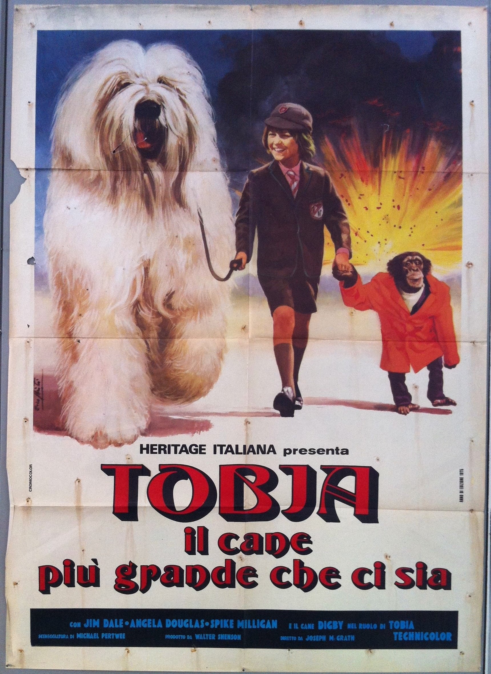 Tobia il Cane Piu Grande Che Ci Sia