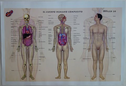 Link to  El Cuerpo Humano CompuestoMexico,  C.2000  Product