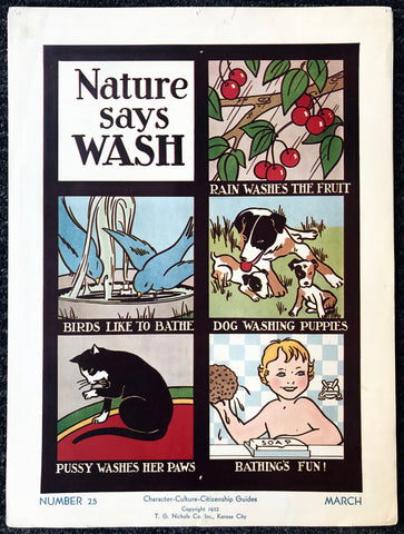 Link to  Nature Says Wash1932  Product
