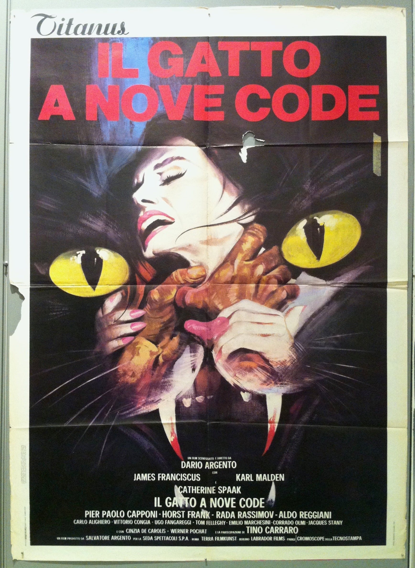Il Gatto a Nove Code Film Poster