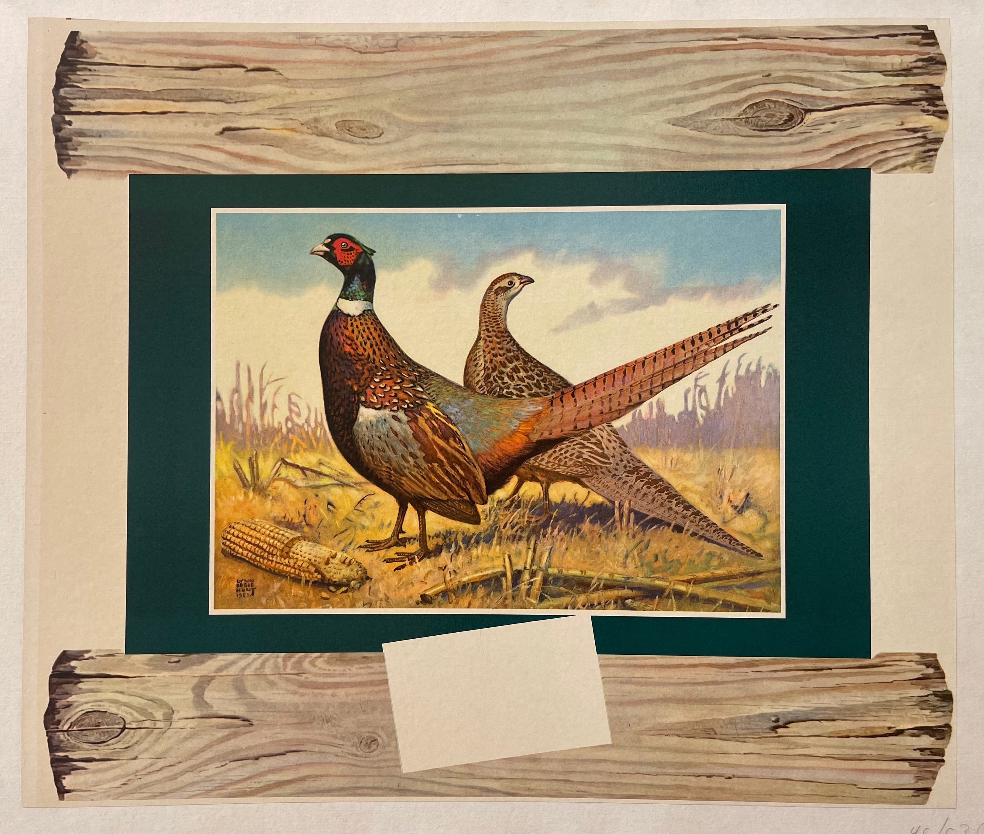 Pheasants Poster