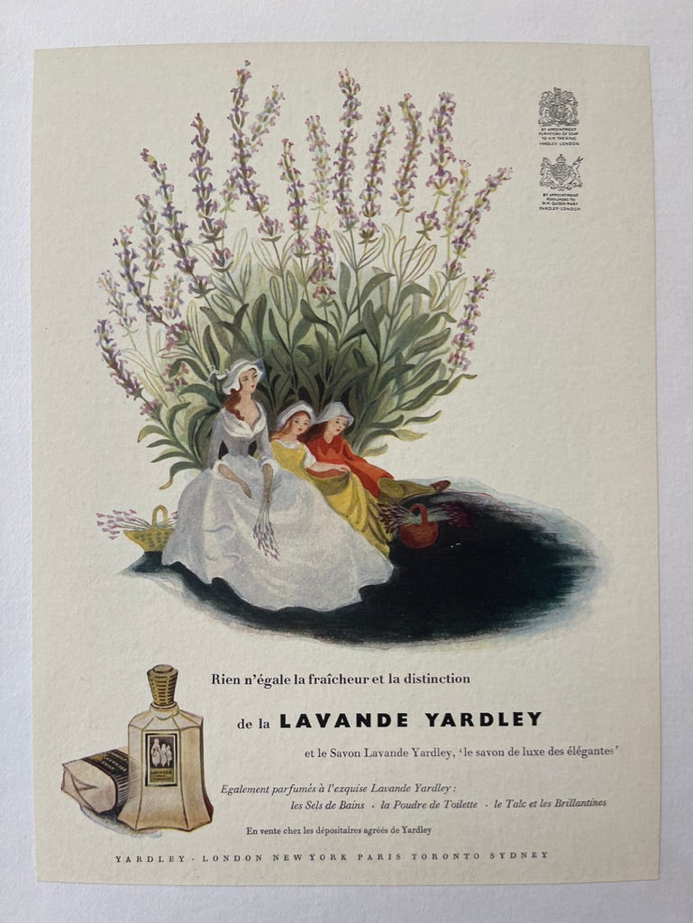 – Lavande Yardley Poster Poster Museum