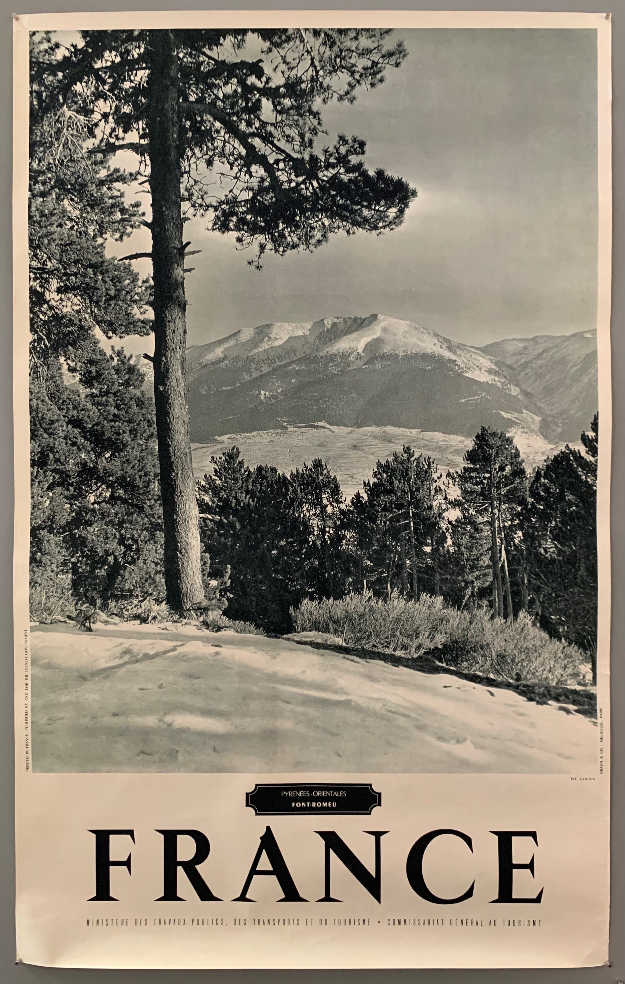This poster is sepia toned with bold black-and-white writing at the bottom. The photograph takes up the majority of the page.The photograph contains a wide view of a far-off mountain range. In the forefront are a bunch of pine trees.