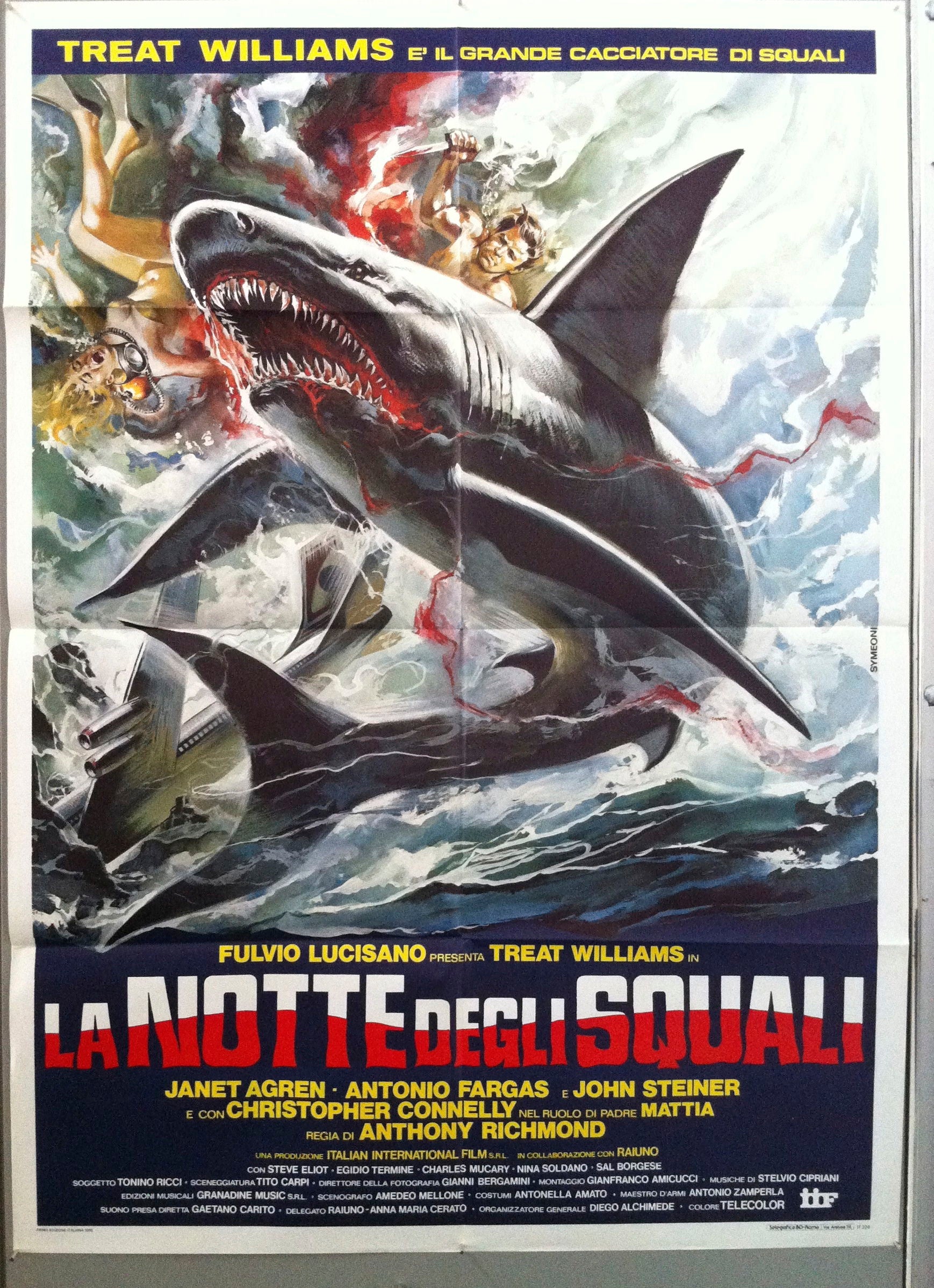 La Notte Degli Squali