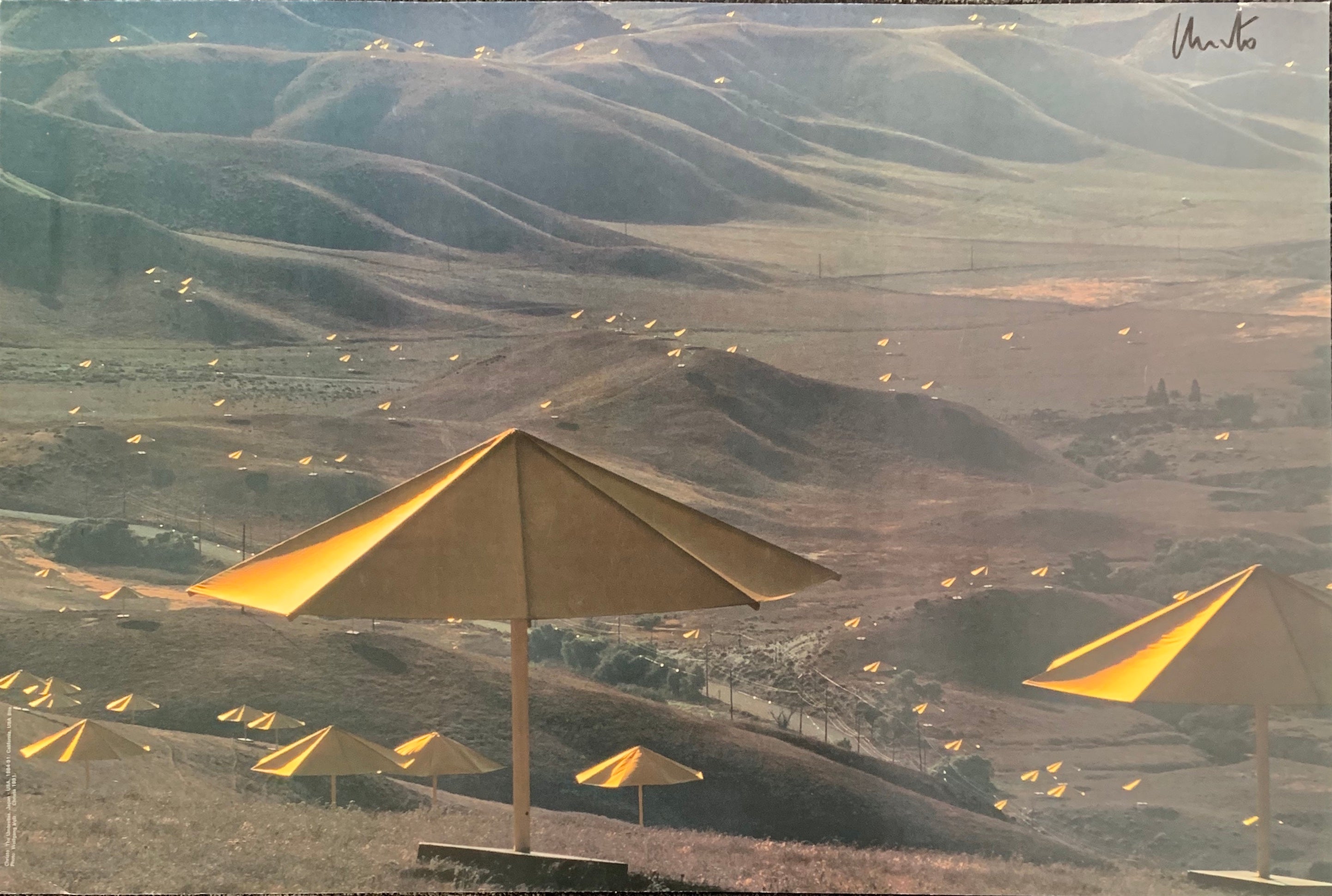 A colored photograph of yellow umbrellas dotting a hill.