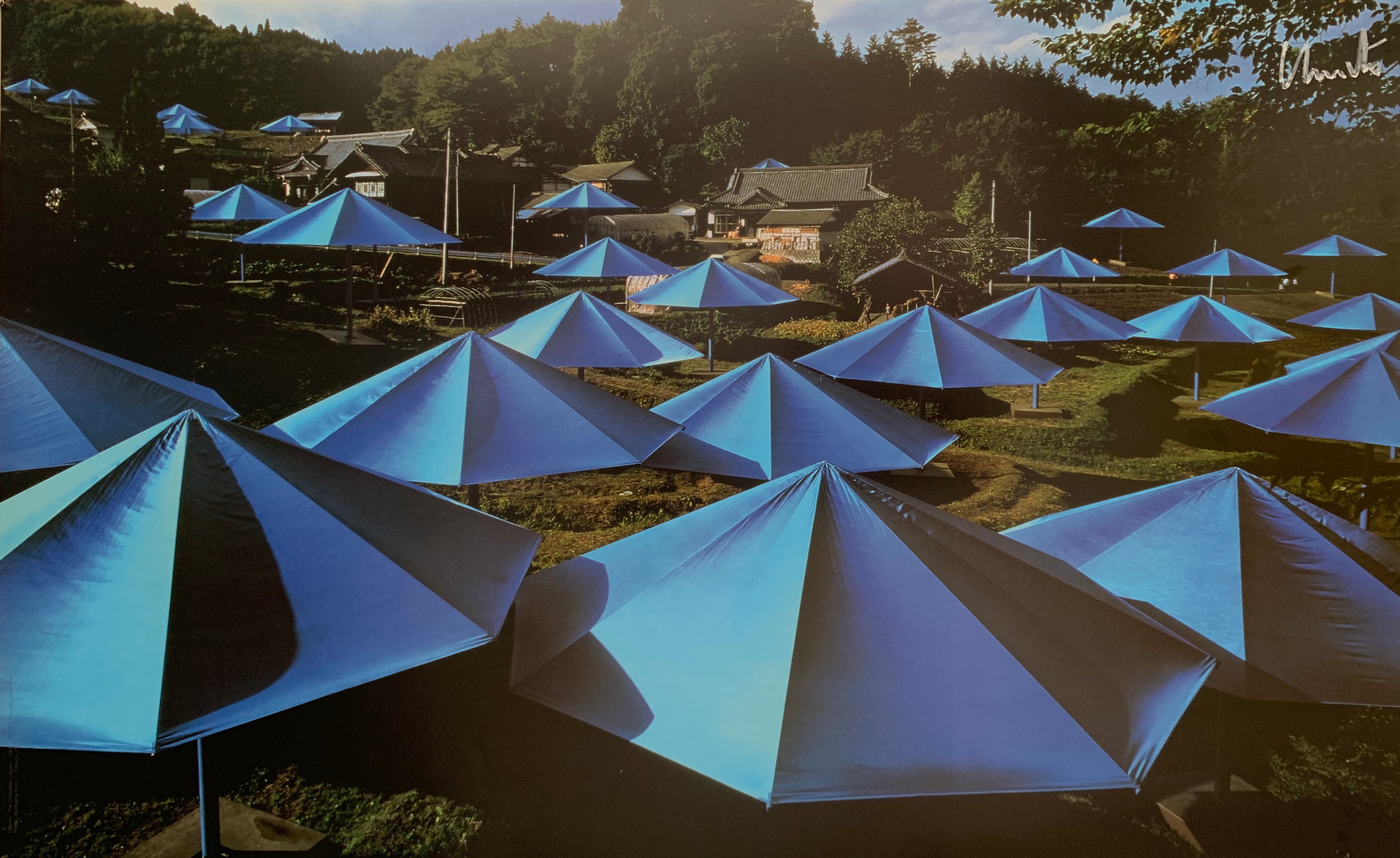 A colored photograph of blue umbrellas along a hill.