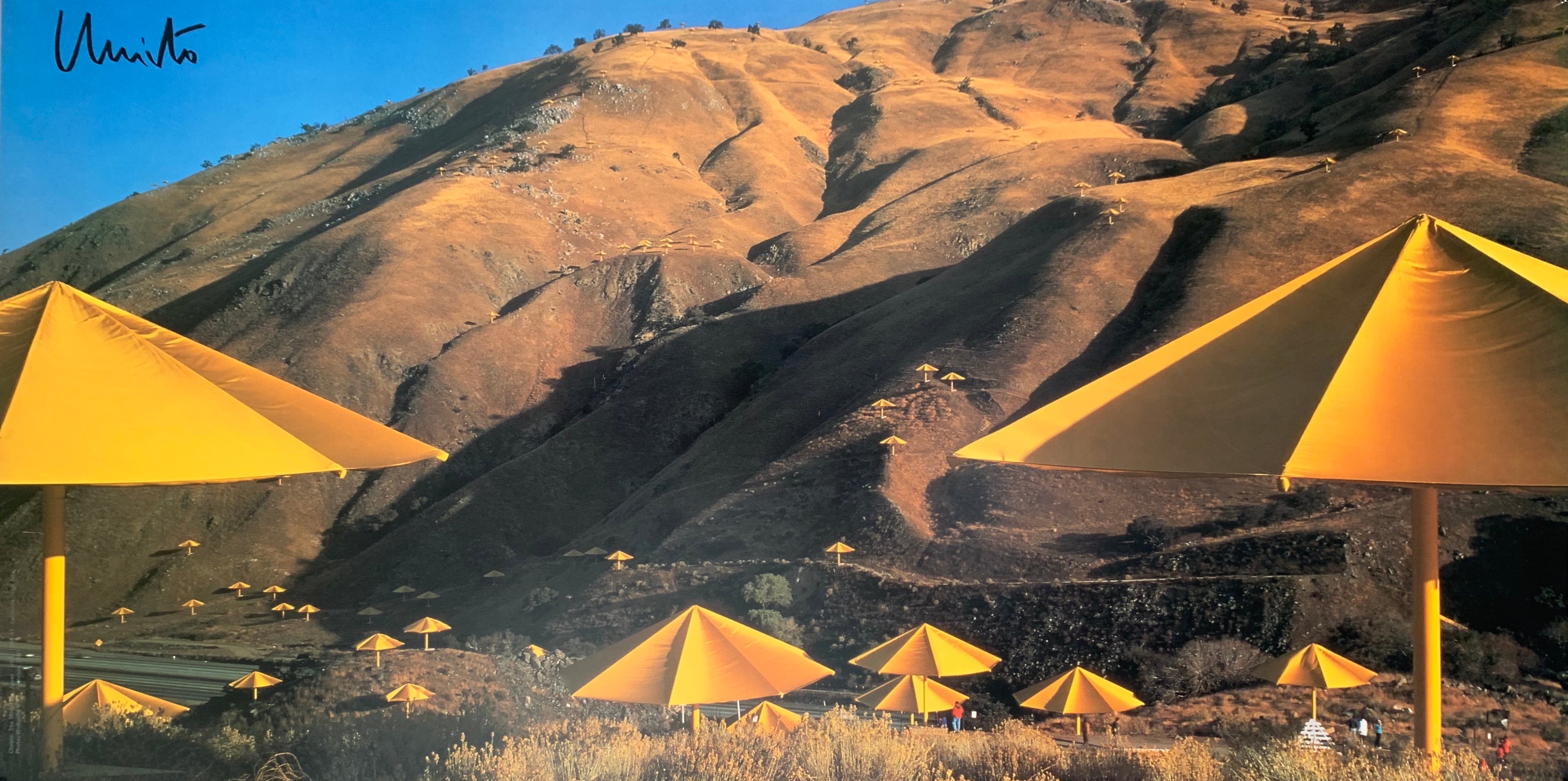 A landscape photograph showing a smattering of yellow umbrellas against the brown countryside.