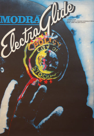 Link to  Electra GlideUSA 1973  Product