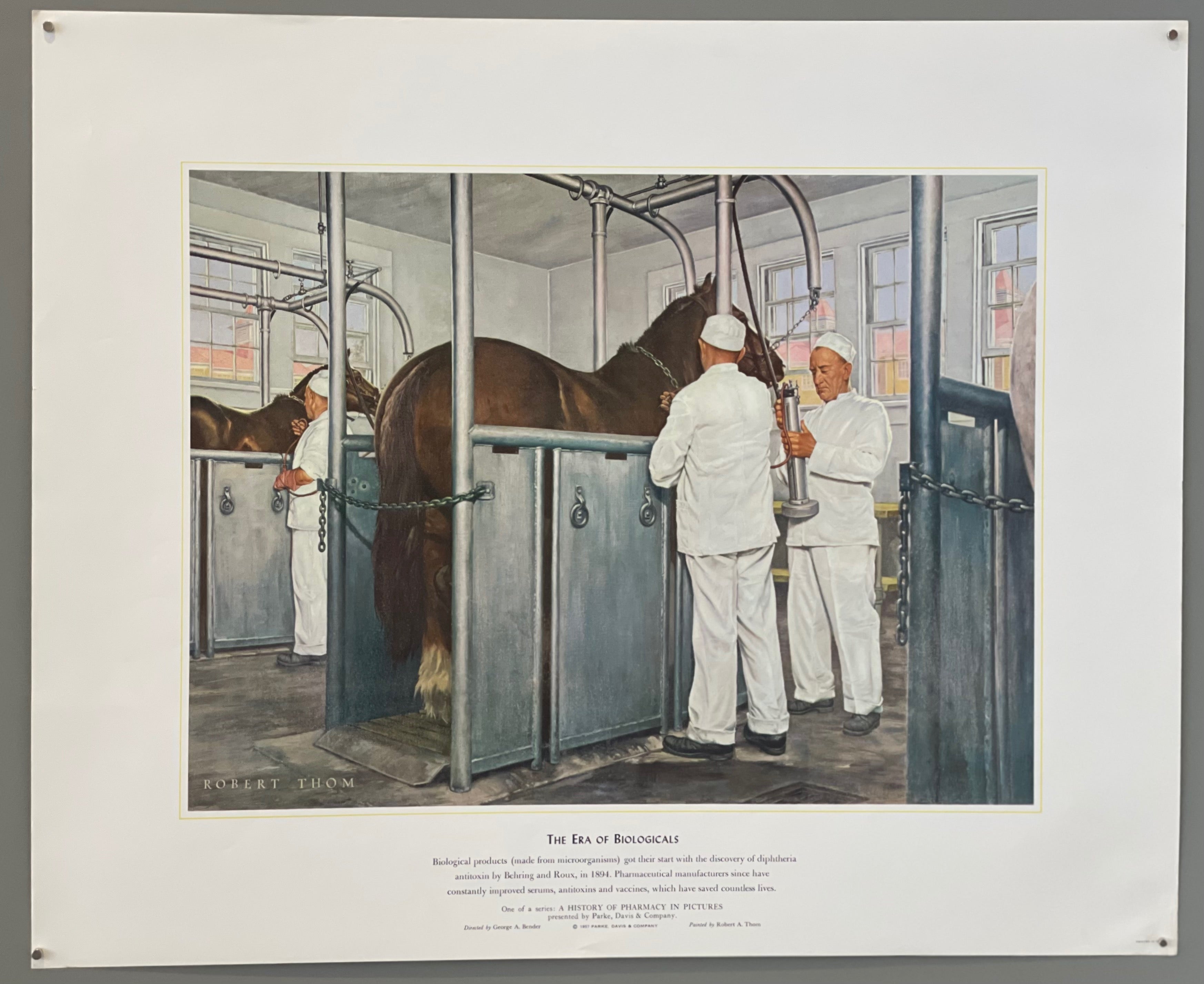 poster of pharmacists with horses