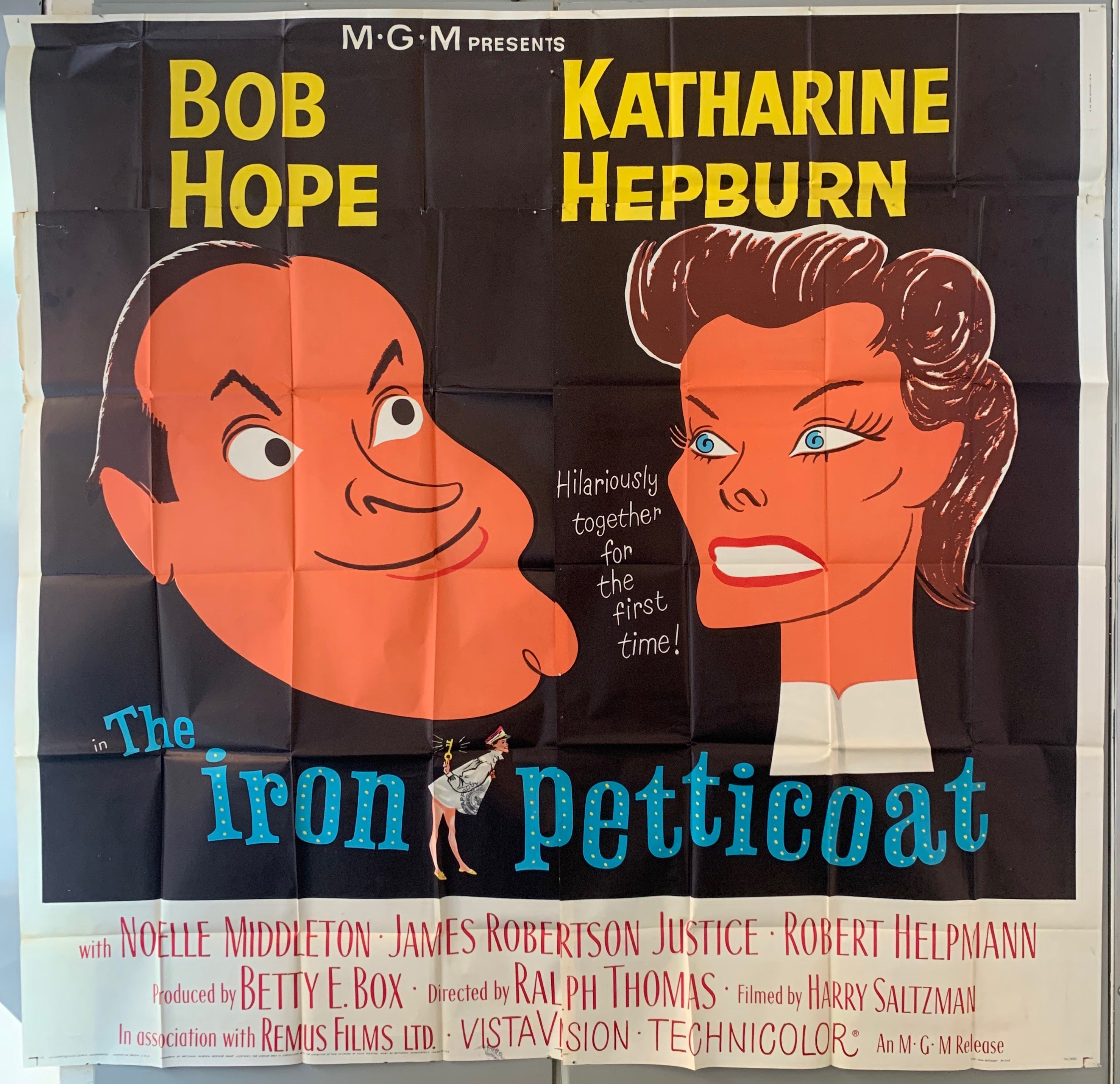 The Iron Petticoat