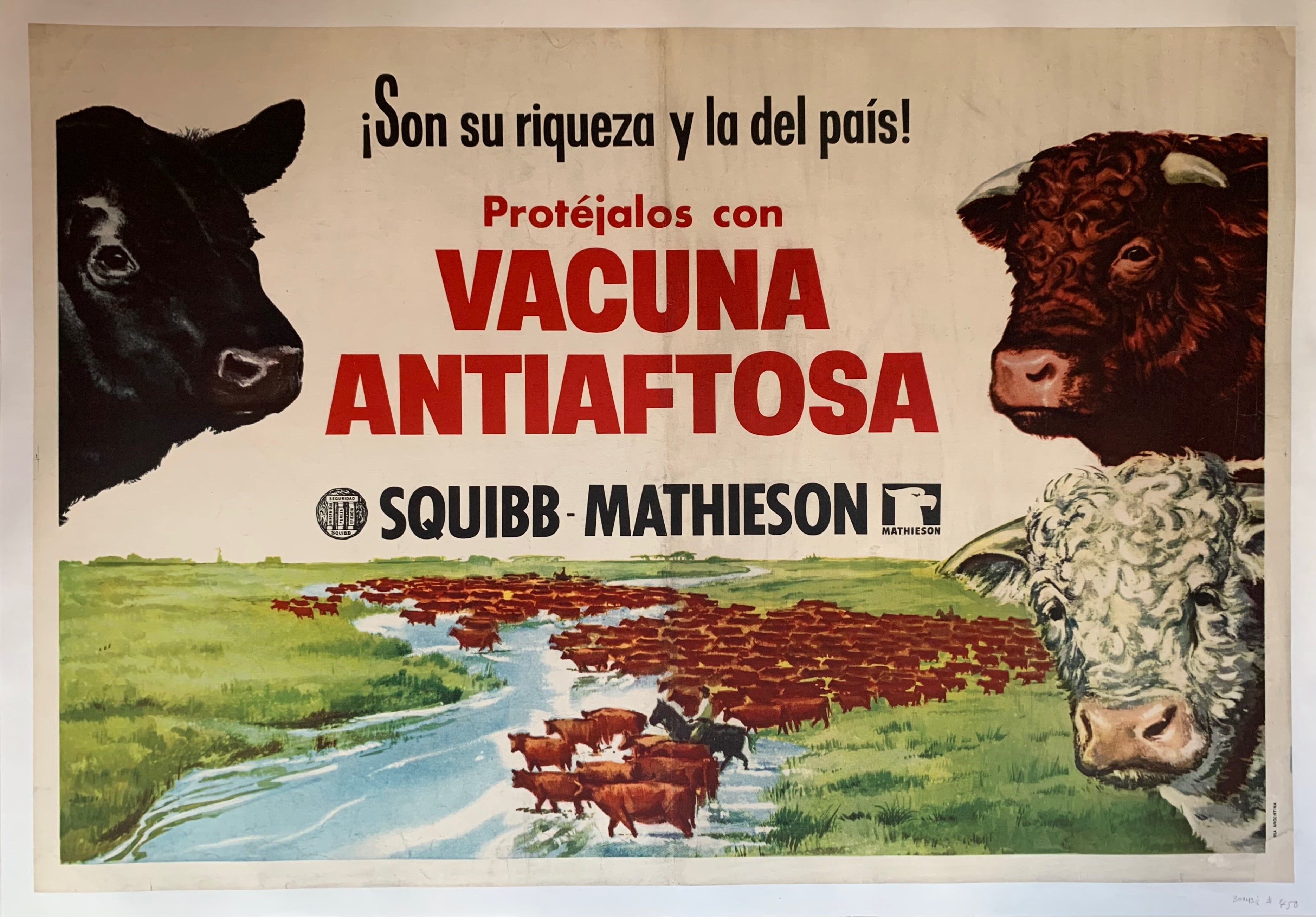 Vacuna Antiaftosa PSA Poster