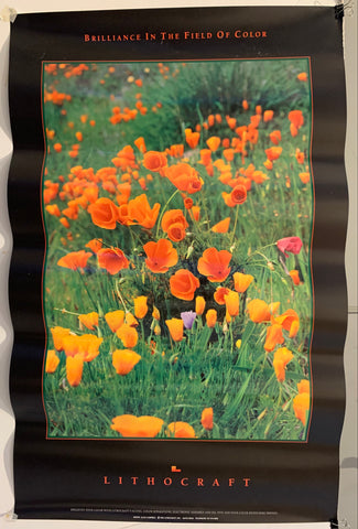 Link to  Lithocraft Ad PosterU.S.A., 1991  Product