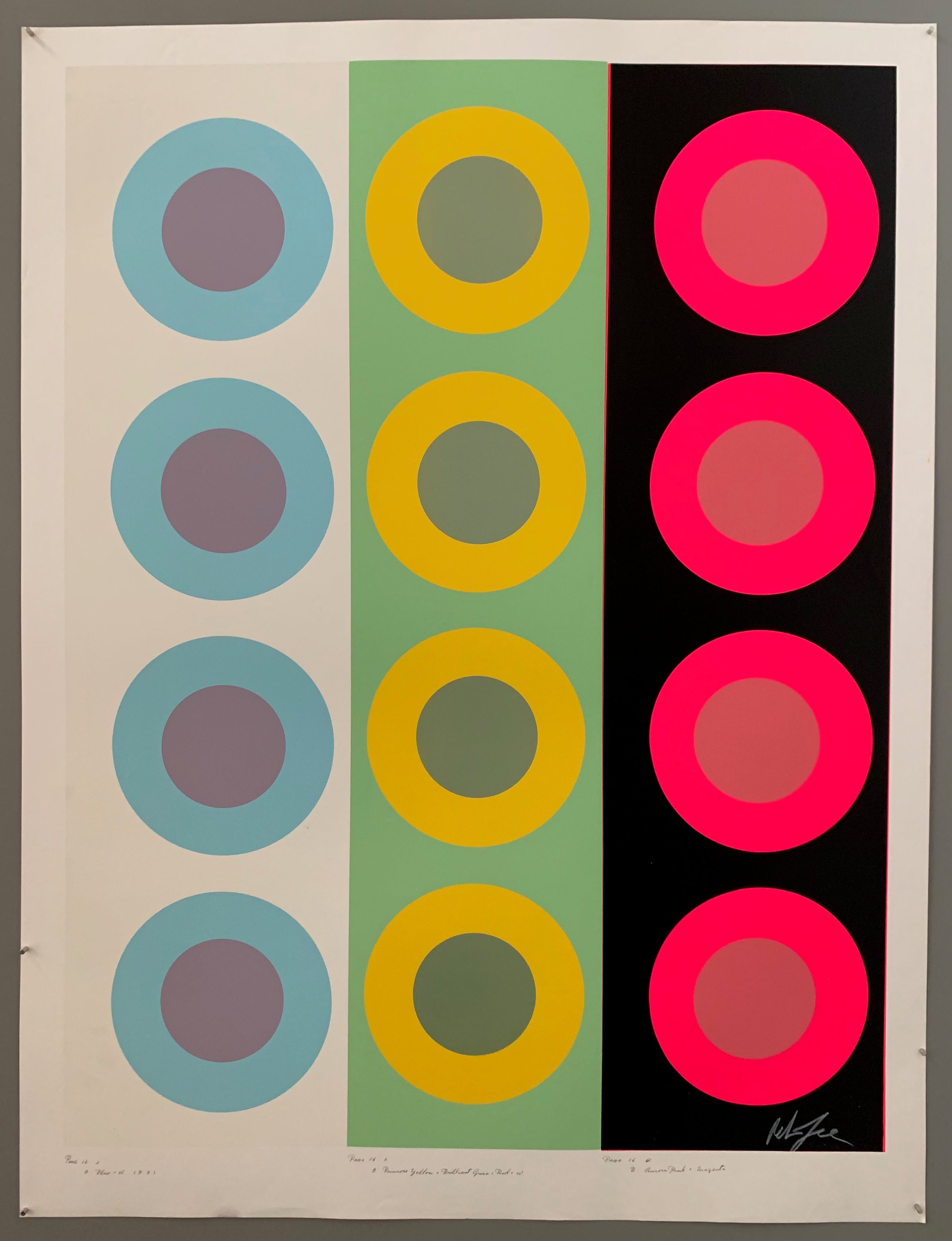 Three rows of targets on colored panels
