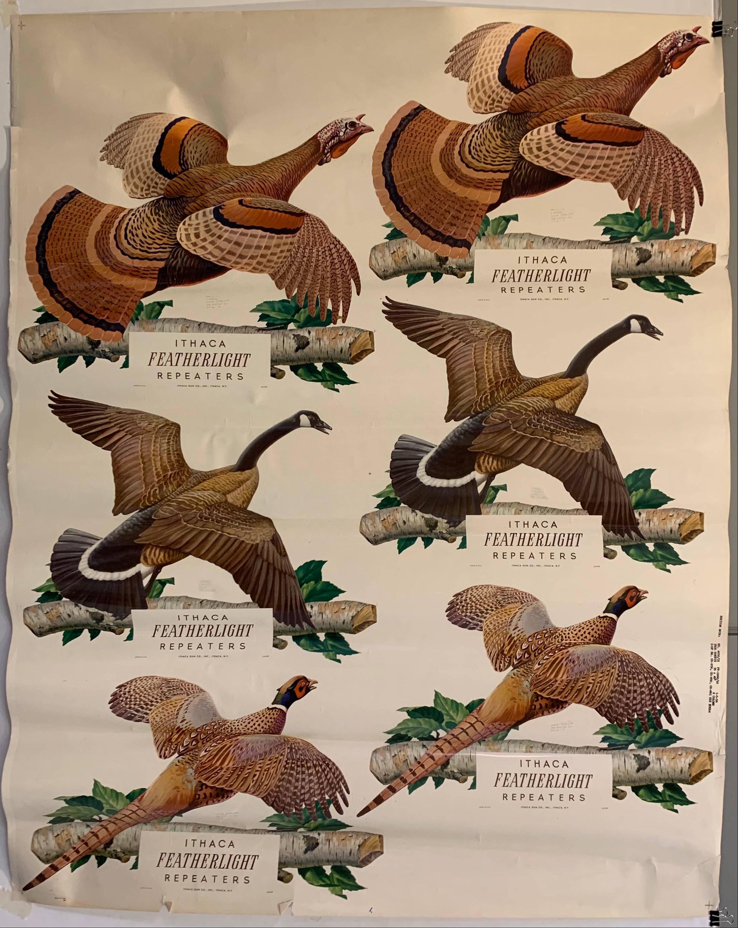 Ithaca Featherlight Repeaters Poster