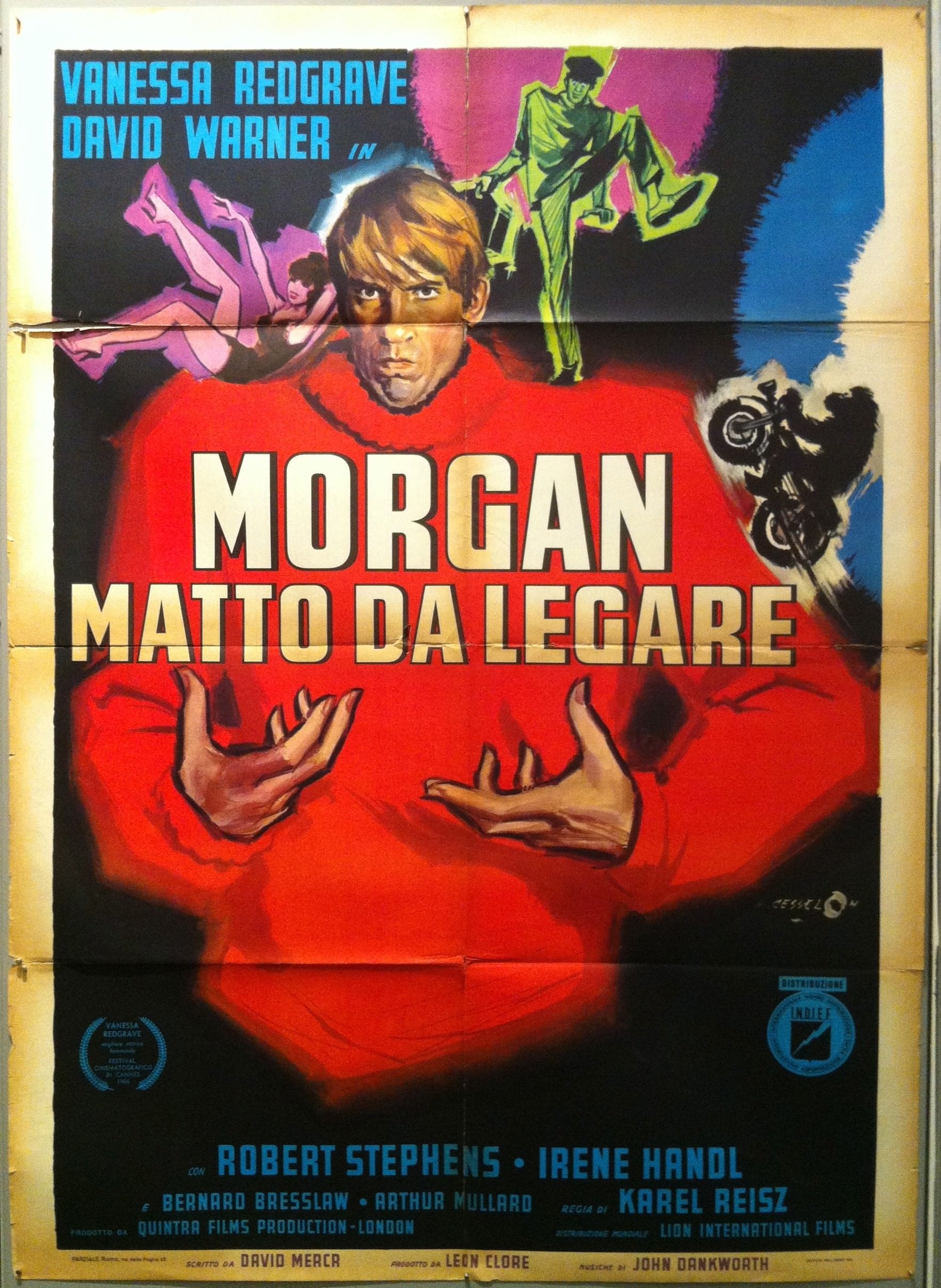 Morgan Matto Da Legare