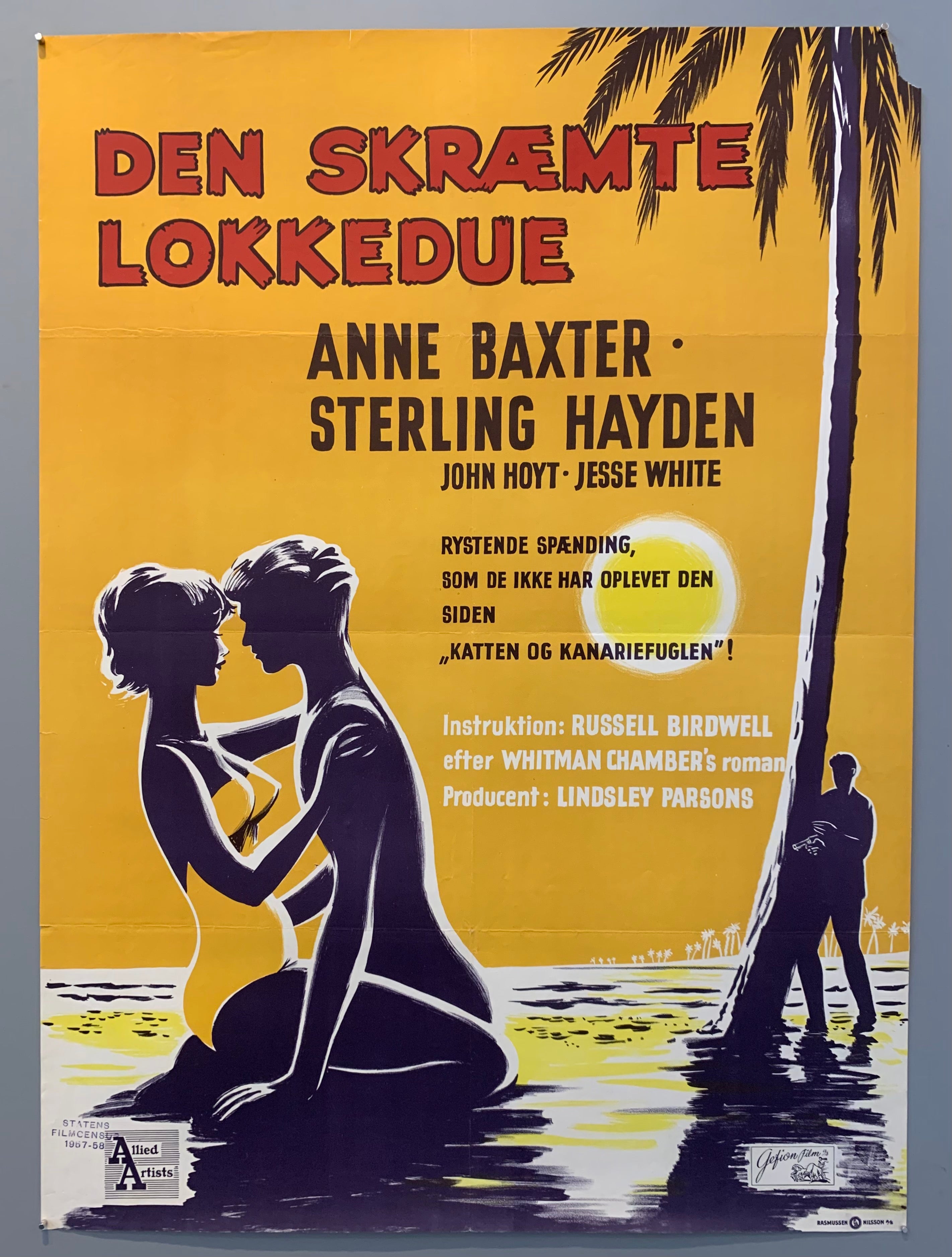 Den Skræmte Lokkedue