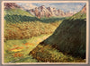 La Végétation Méditerranéenne & La Végétation de Montagne (Double-sided)