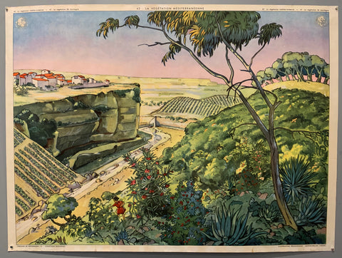 Link to La Végétation Méditerranéenne & La Végétation de Montagne (Double-sided)circa 1950 (1A) Product