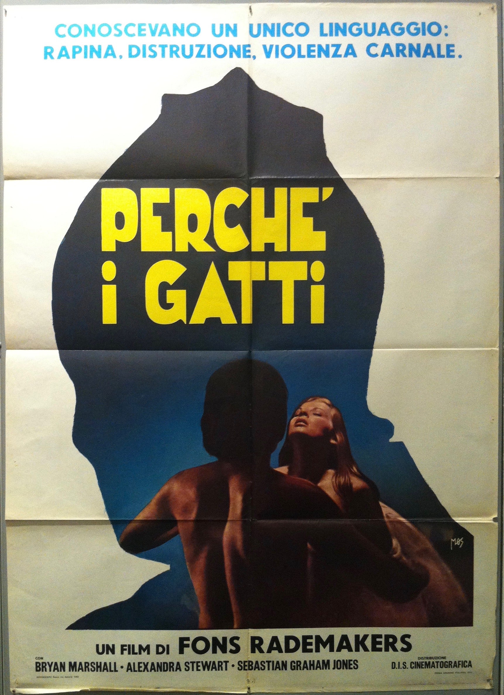 Perche' i Gatti