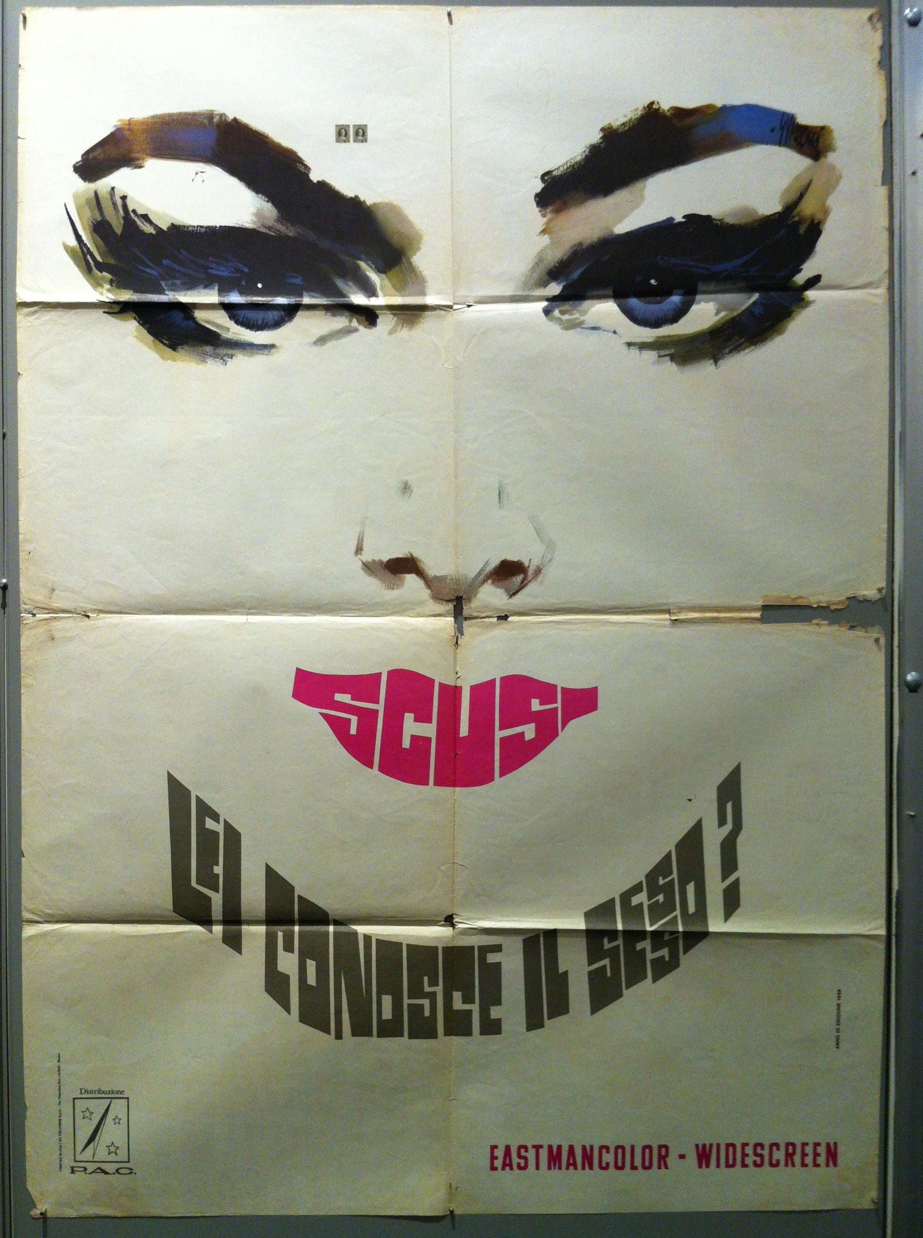 Scusi Lei Conosce il Sesso?