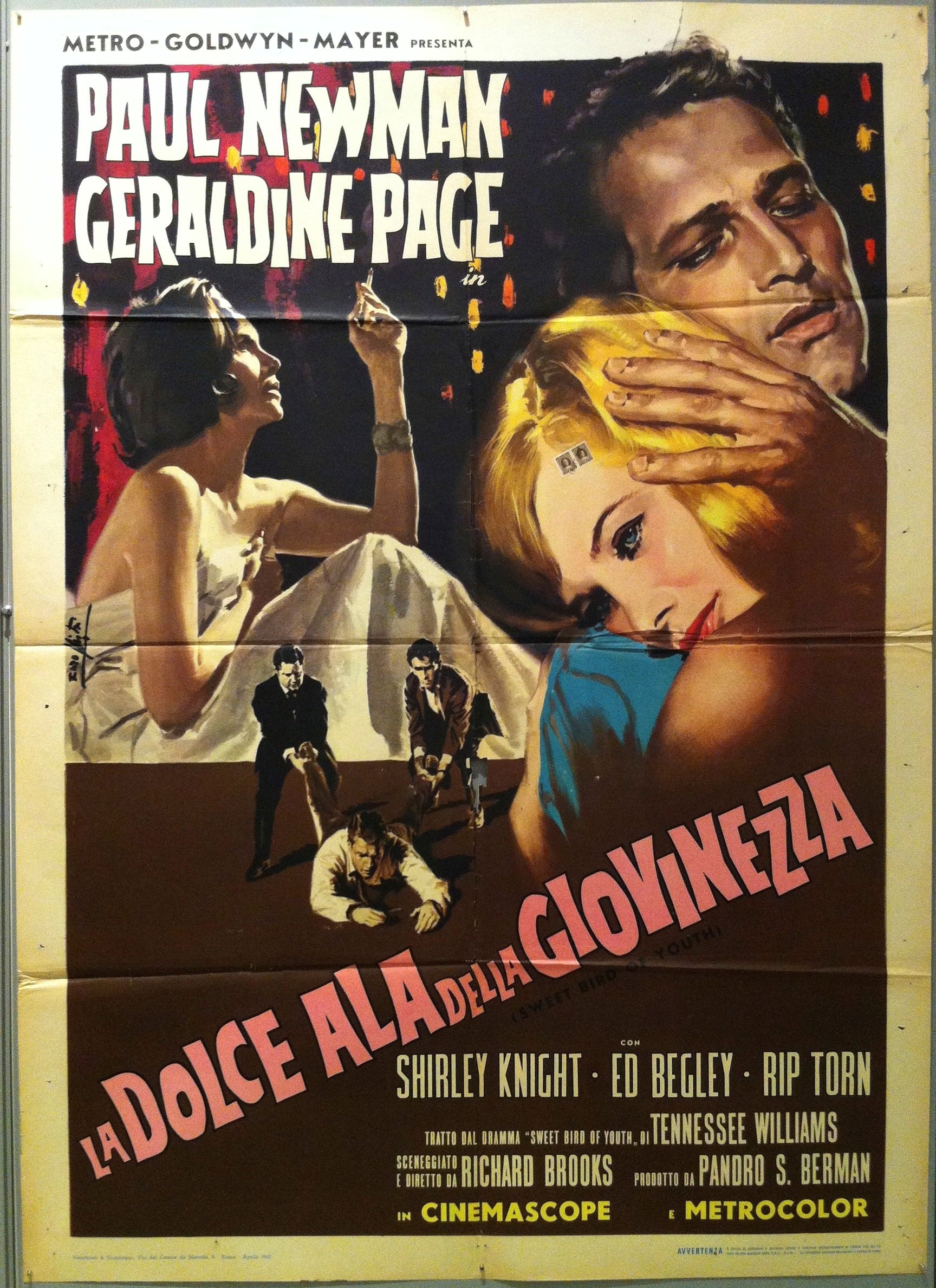 La Dolce Ala Della Giovinezza