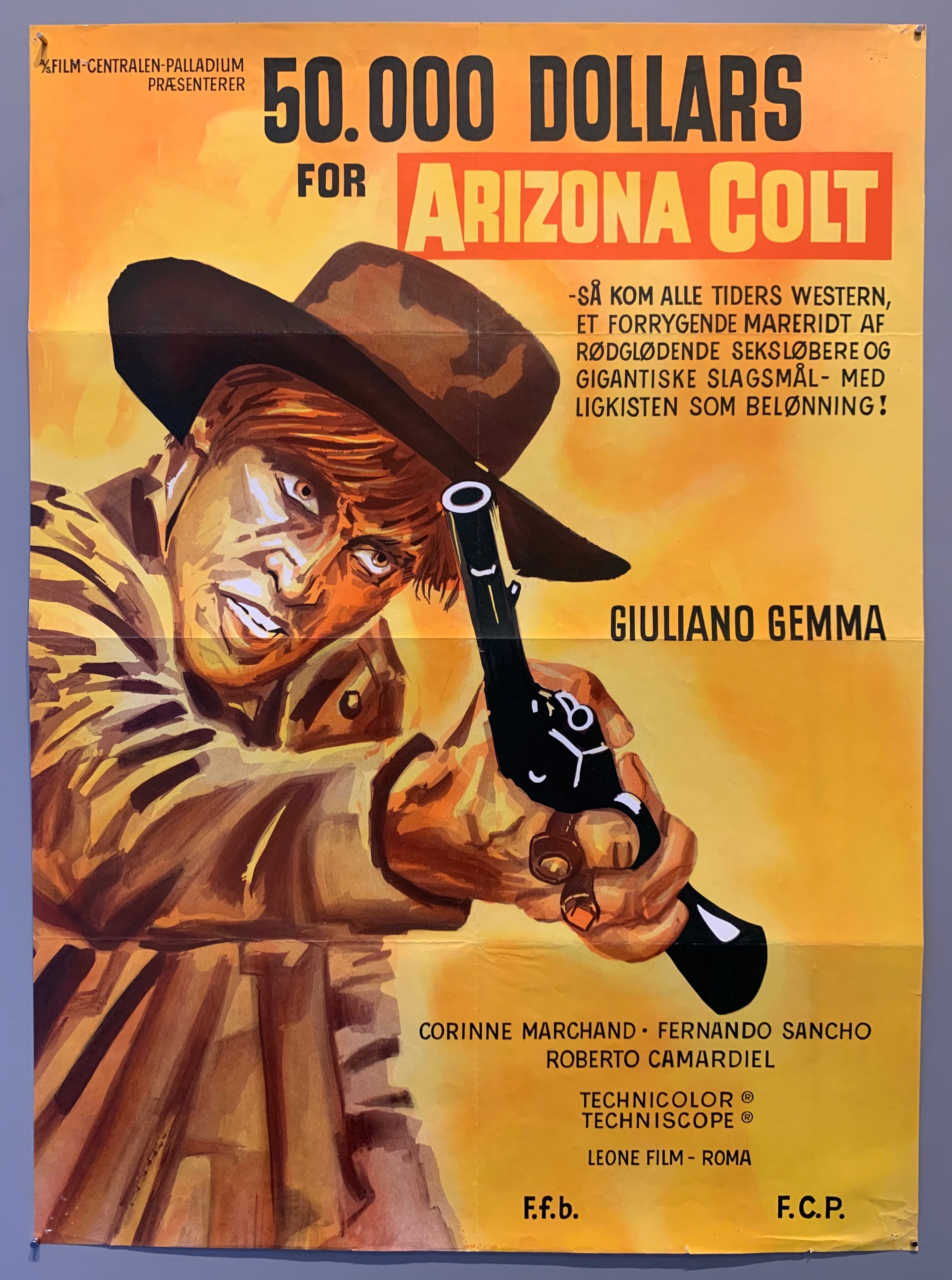 Arizona Colt