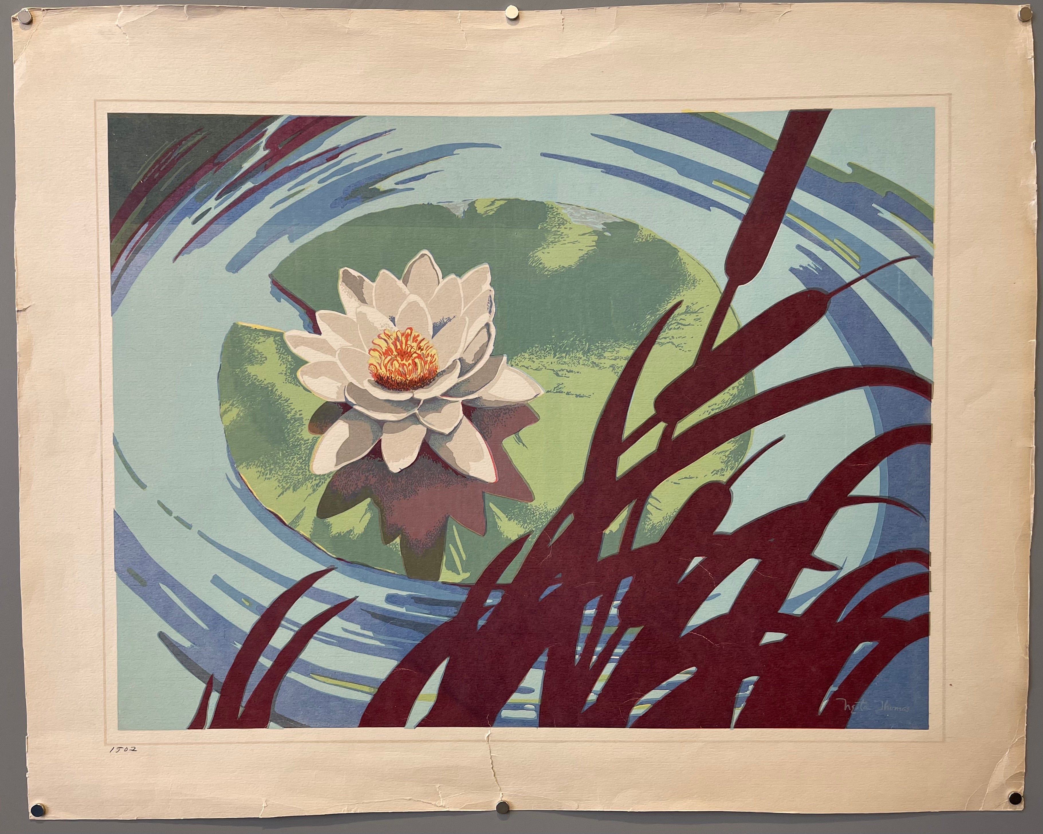 poster of a lilypad