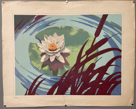 Link to  Waterlily PrintU.S.A., c. 1955  Product