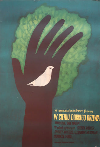 Link to  W Cienie Dobrego DrzewaUSA 1965  Product