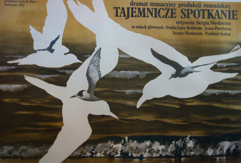 Link to  Tajemnicze SpotkanieBukareszt 1982  Product