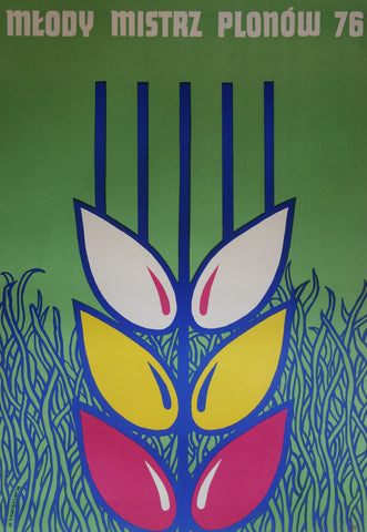 Link to  Mlody Mistrz Plonow 11976  Product