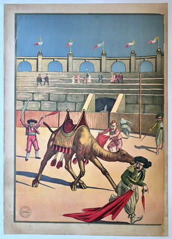 Link to &nbsp;Camel in the ArenaItaly, c.1905's &nbsp;Product