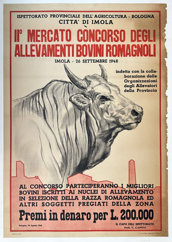 II° Mercato Concorso degli Allevamenti Bovini Romagnoli