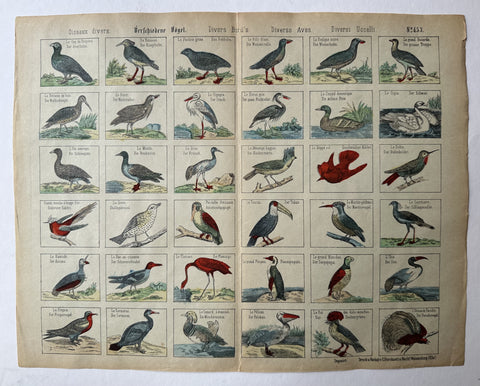 Link to  Diver Birds No. 453France/Germany, c. 1860s  Product