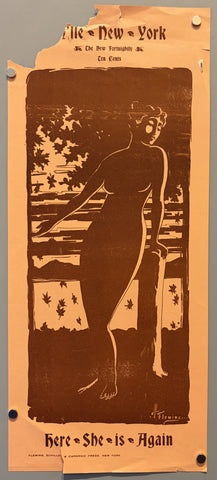 The New York The New Fortnightly