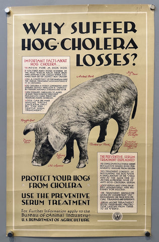 Why suffer hog-cholera losses?