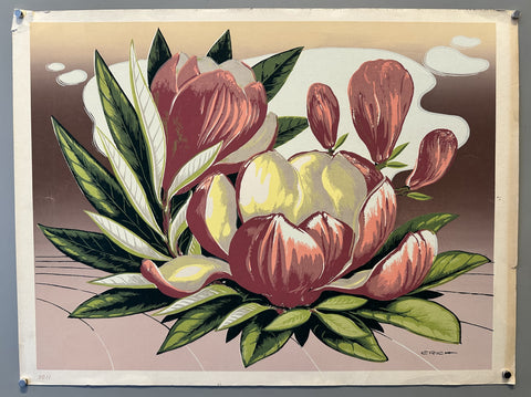Link to &nbsp;Magnolia Lithograph 03United States, c. 1950s (?) &nbsp;Product