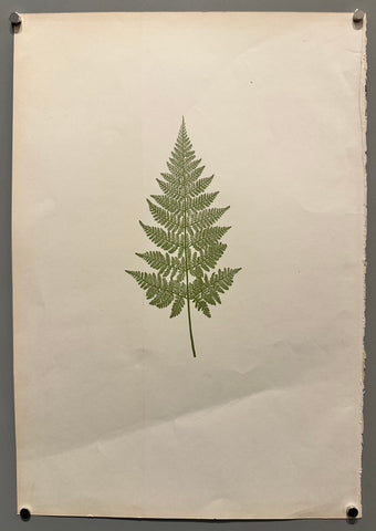 Link to &nbsp;A FernU.S.A., C.1890's &nbsp;Product