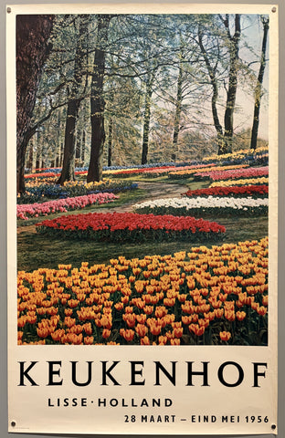 Keukenhof Lisse Holland #4