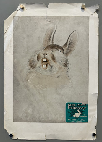 Link to &nbsp;Brier-Patch PhilosophyU.S.A., 1906 &nbsp;Product