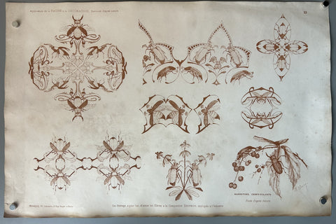 Application de la Faune & Decoration: Hannetons, Cerfs-Volants