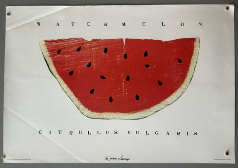 Watermelon Citrullus Vulgaris