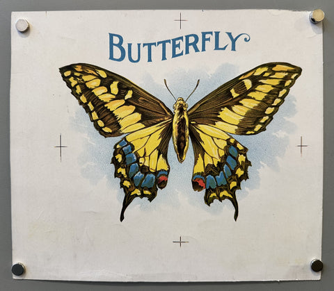 Butterfly