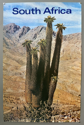 Link to  South Africa CactusSouth Africa, c. 1970  Product