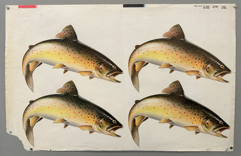 Link to &nbsp;Four Brown TroutUSA, 1957 &nbsp;Product