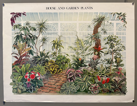 Link to &nbsp;House and Garden PlantsUSA, 1978 &nbsp;Product