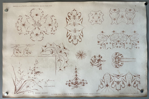 Application de la Faune & Decoration: Mouches et Araignées