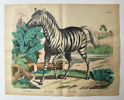 Link to  The Zebra No. 124France/Germany, c. 1860s  Product