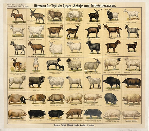 Natural Science and Agricultural Boards