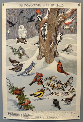 Link to &nbsp;Pennsylvania Winter BirdsUSA, 1946 &nbsp;Product